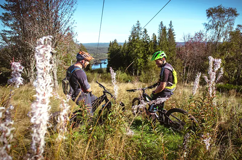 Bikepark2 800X530