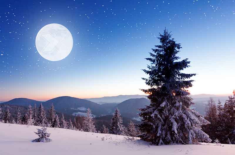 Axelent Safe X Christmas)